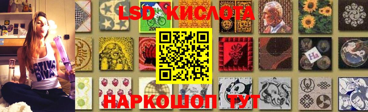 Бошки Шишки Братск