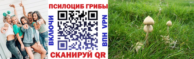 OMG ТОР  Братск  Галлюциногенные грибы GOLDEN TEACHER  как найти закладки 