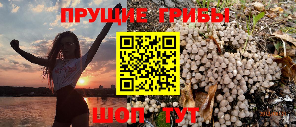 Братск  купить наркотики цена  Вход с VPN  Галлюциногенные грибы Psilocybine cubensis 