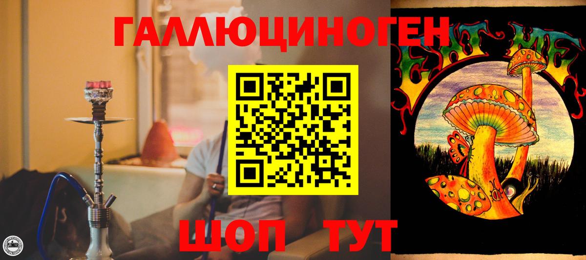 закладки  Братск  Галлюциногенные грибы MAGIC MUSHROOMS 