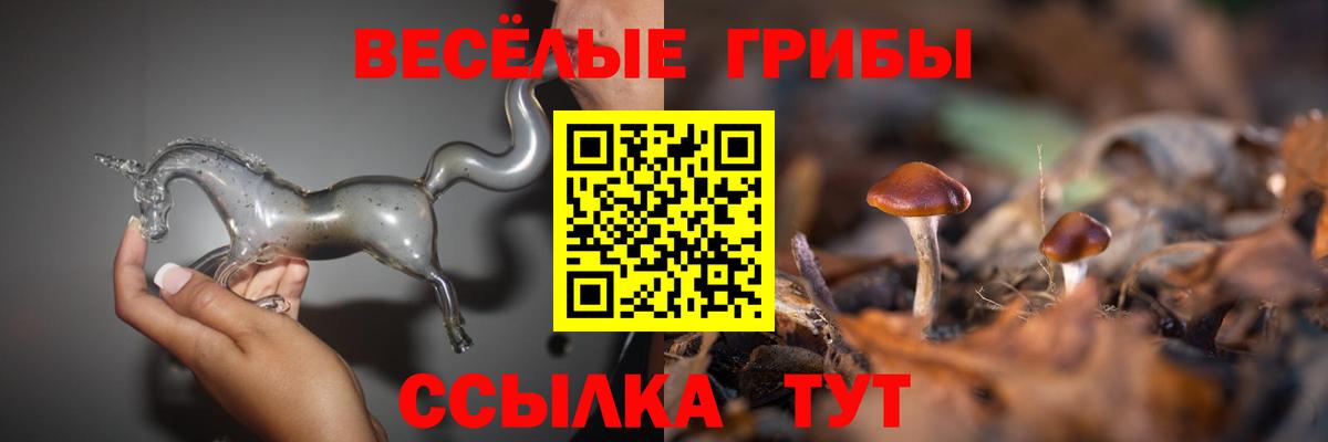 Псилоцибиновые грибы GOLDEN TEACHER Братск