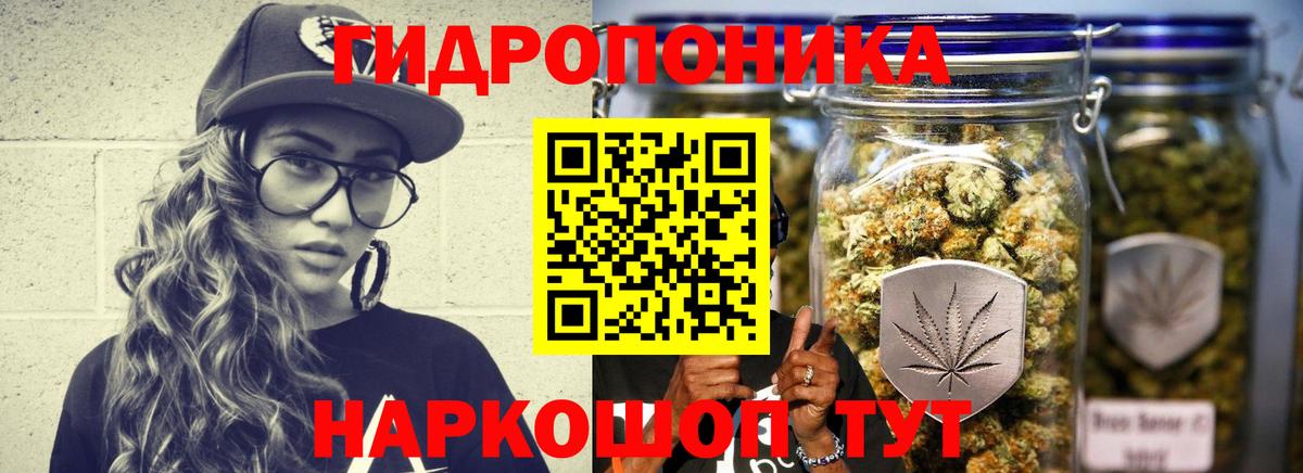 Конопля марихуана Братск